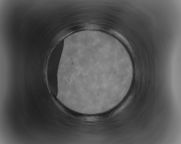 X0000087541041200705251716