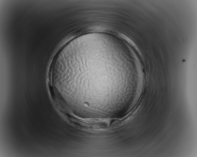 X0000087541042200705251716