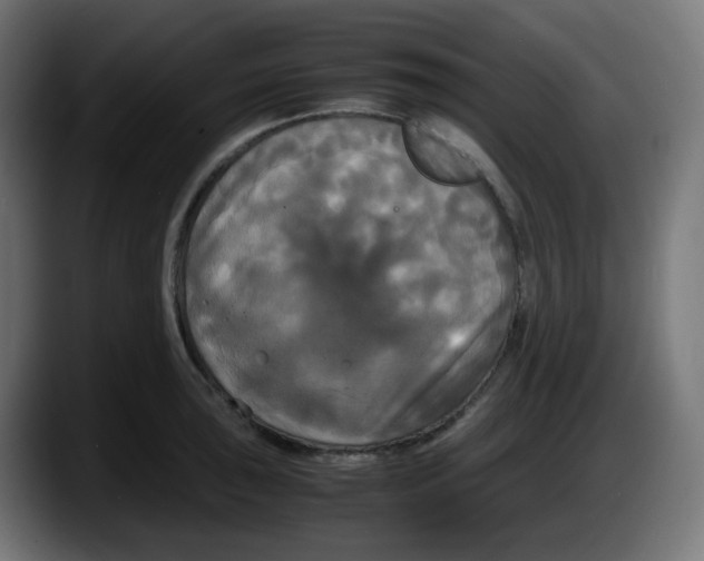 X0000087541043200705251716