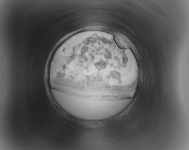 X0000087541044200705251716