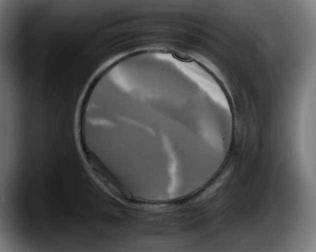 X0000087541045200705251716