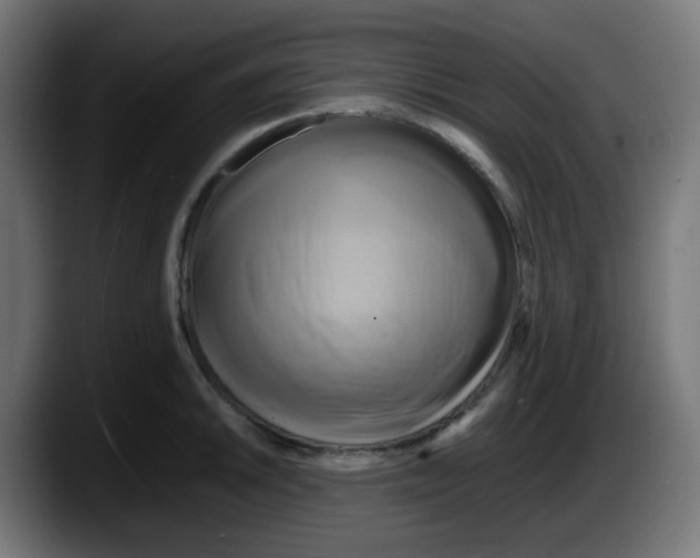 X0000087541046200705251716