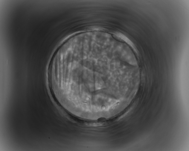 X0000087541047200705251716