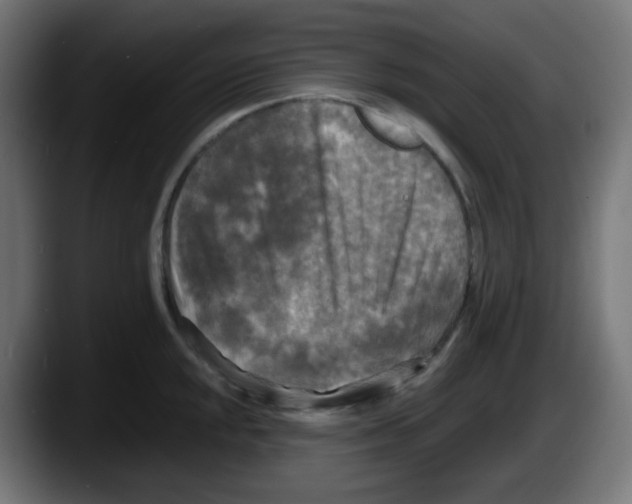 X0000087541048200705251716