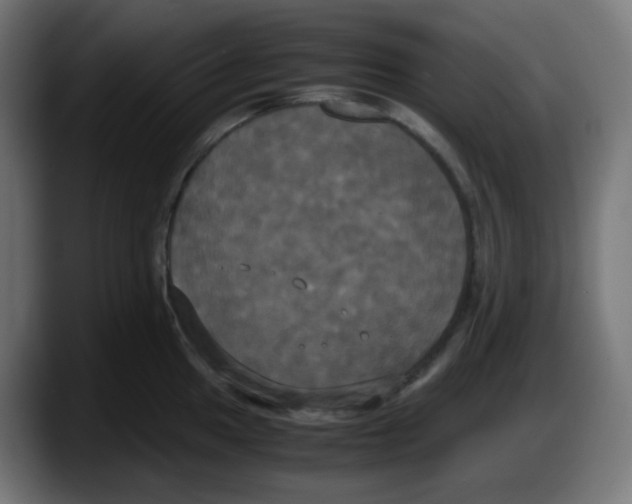 X0000087541049200705251716