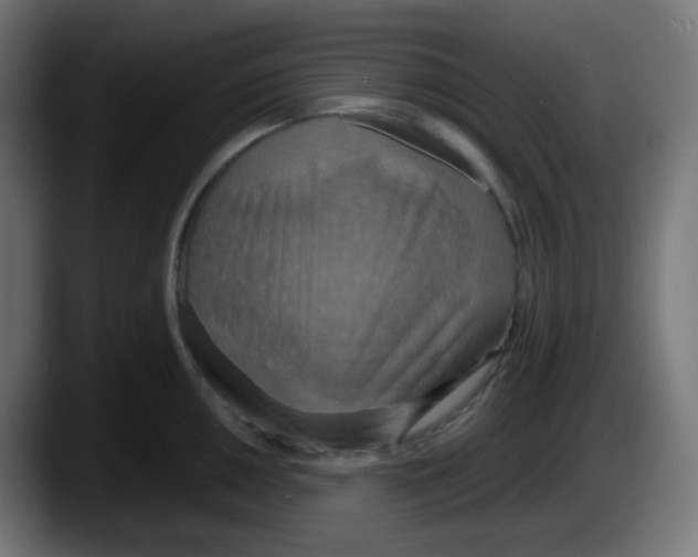 X0000087541050200705251716