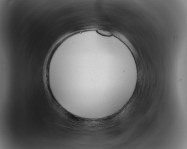 X0000087541051200705251716