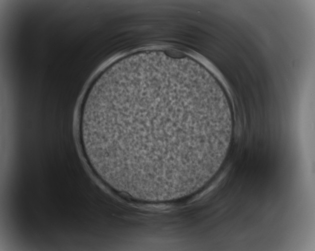 X0000087541053200705251716