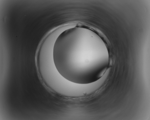 X0000087541054200705251716