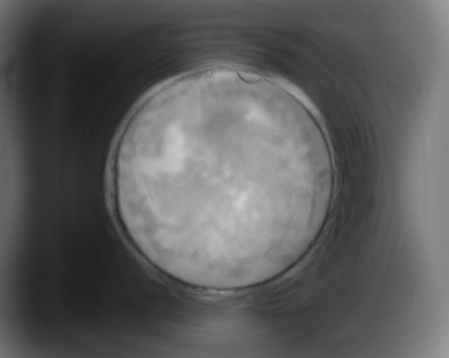 X0000087541056200705251716