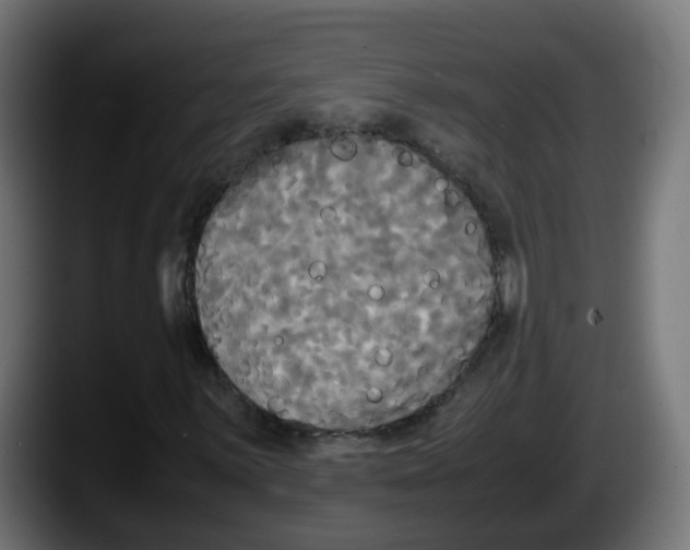 X0000087541059200705251715