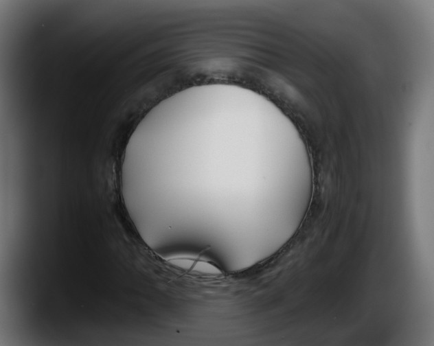 X0000087541062200705251715