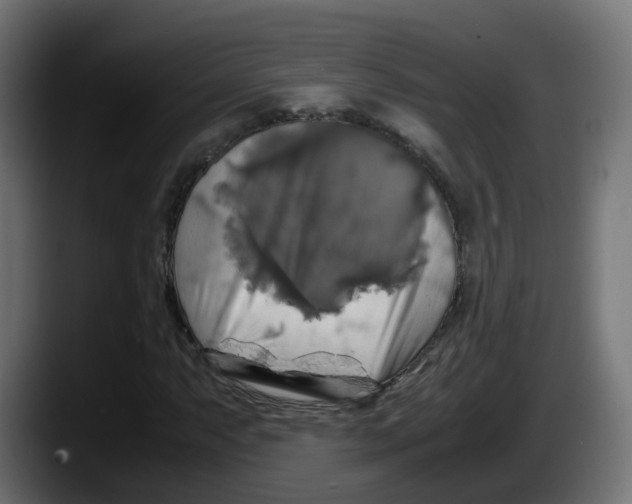 X0000087541063200705251715