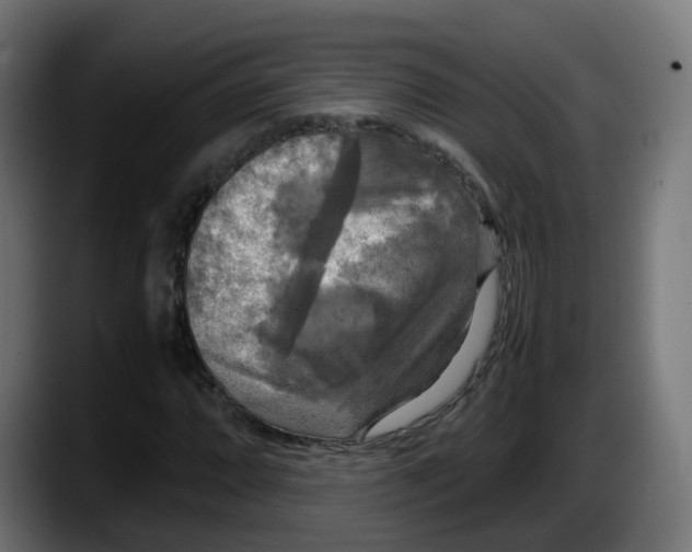 X0000087541064200705251715