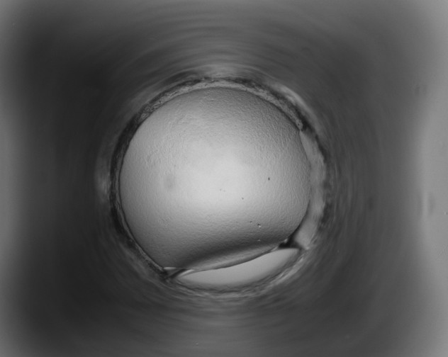 X0000087541065200705251715