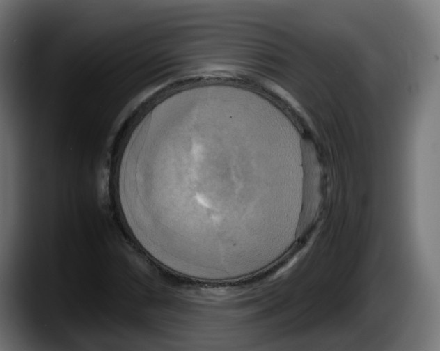 X0000087541066200705251715