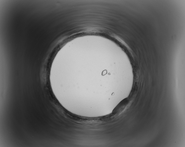 X0000087541067200705251715