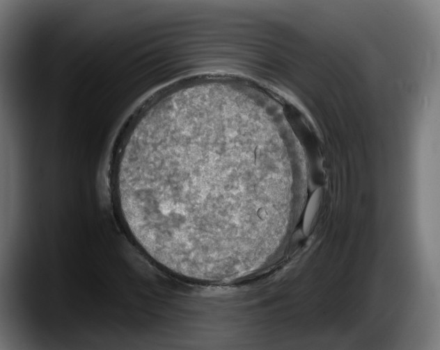 X0000087541068200705251715