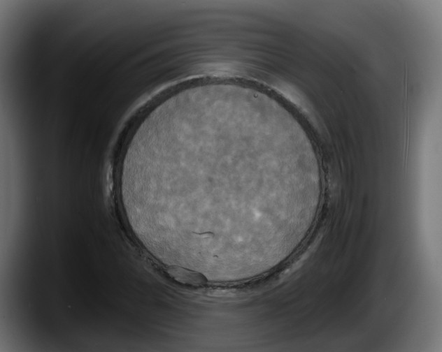 X0000087541070200705251715