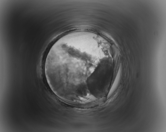 X0000087541071200705251715