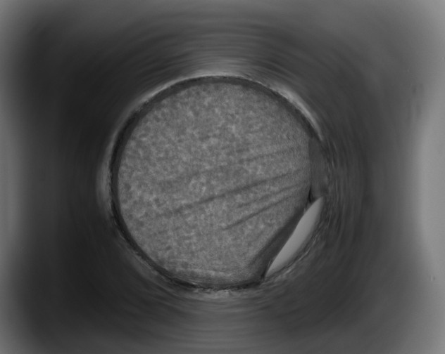 X0000087541072200705251715