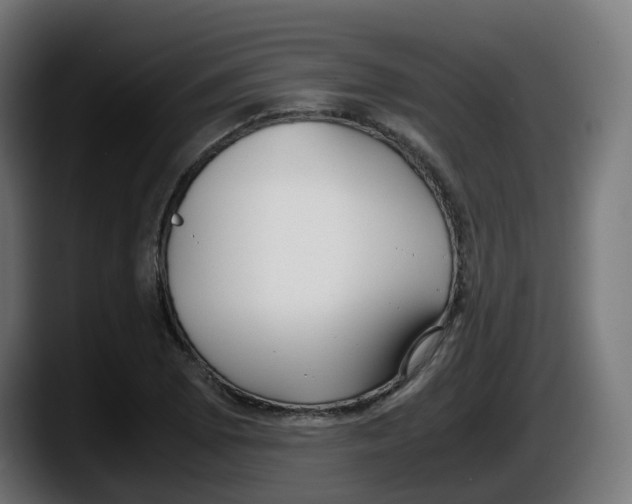 X0000087541073200705251715