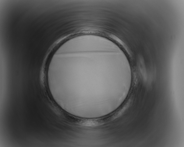 X0000087541074200705251715