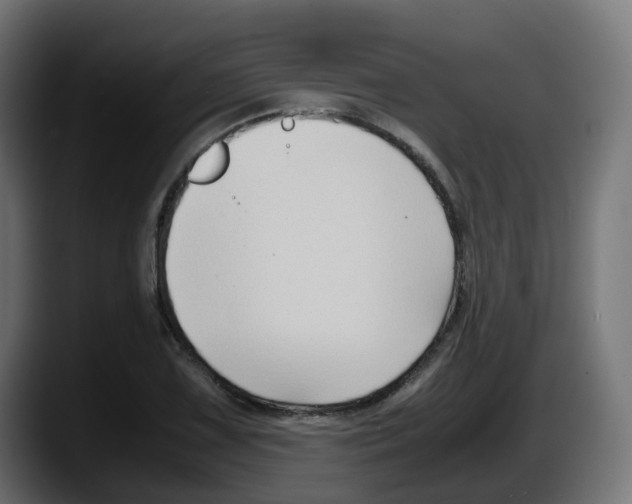 X0000087541075200705251715