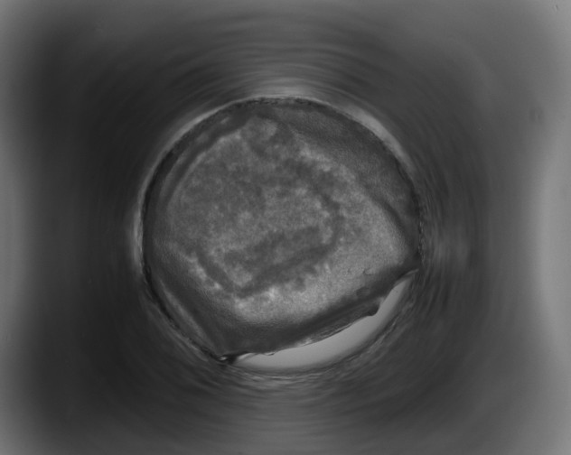 X0000087541076200705251715