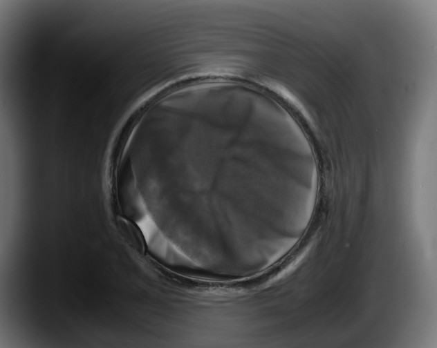 X0000087541077200705251715