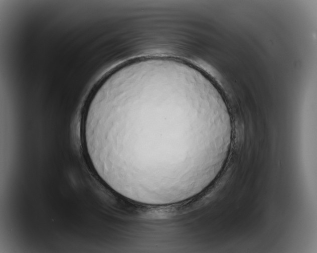 X0000087541078200705251715