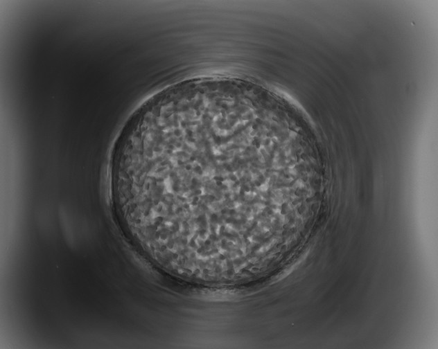 X0000087541079200705251715