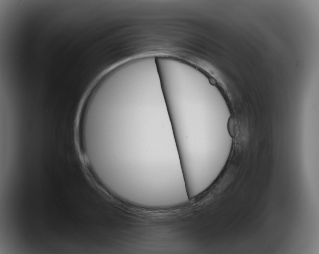 X0000087541080200705251715