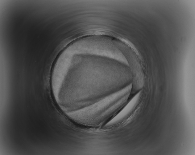 X0000087541081200705251715