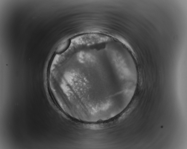 X0000087541088200705251715