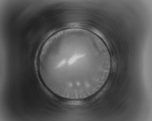 X0000087541090200705251715