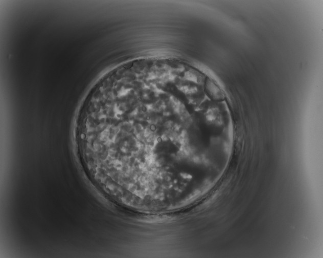 X0000087541091200705251715