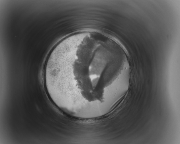 X0000087541092200705251715