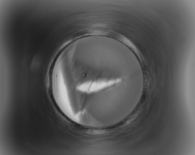 X0000087541095200705251715