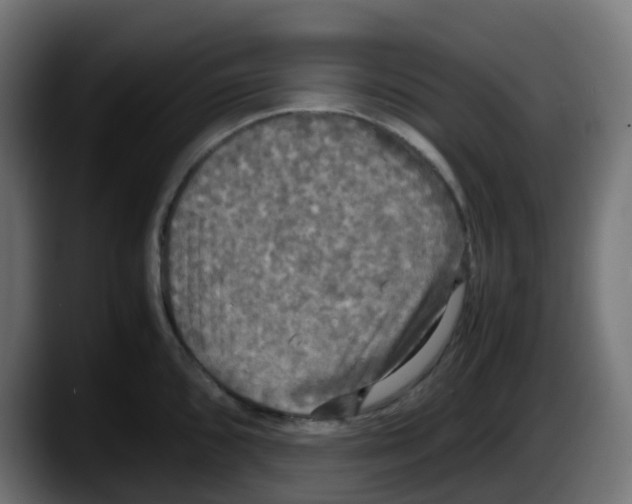 X0000087541096200705251715