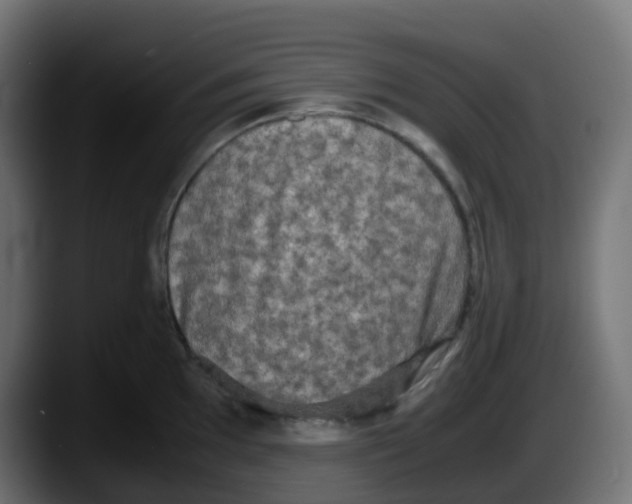 X0000087541097200705251715