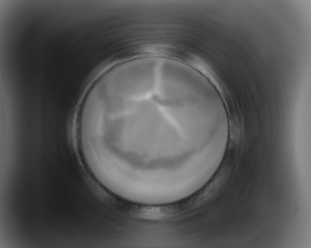 X0000087541098200705251715