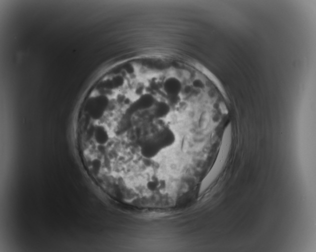 X0000087541099200705251715