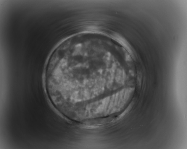 X0000087541100200705251715