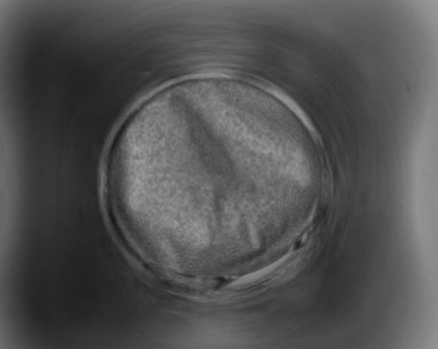 X0000087541101200705251715