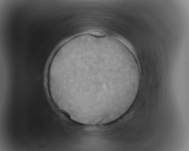 X0000087541104200705251715