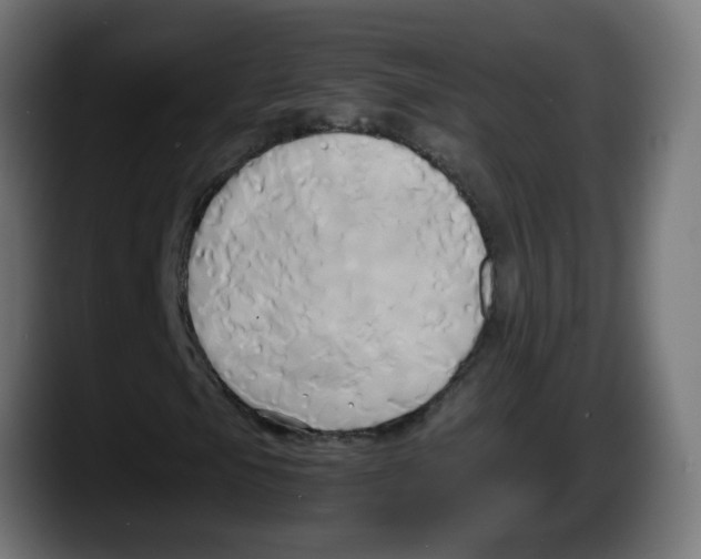 X0000087541105200705251714