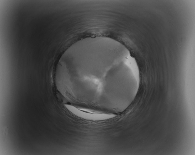 X0000087541106200705251714