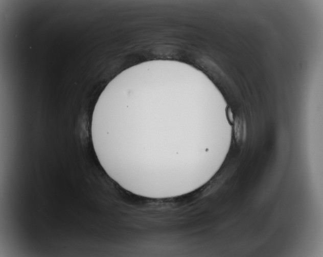 X0000087541107200705251714