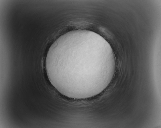 X0000087541108200705251714